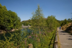 Fuerwigge-Talsperre-0003