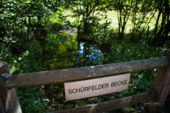 Fuerwigge-Talsperre-0008