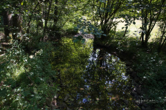 Fuerwigge-Talsperre-0009