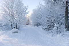 Hoher-Knochen-Winter-05