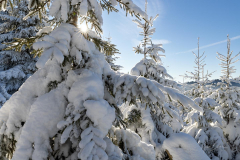 Hoher-Knochen-Winter-20