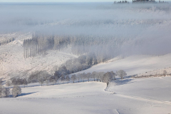 Nebelschleier umhüllen den Wesenberg