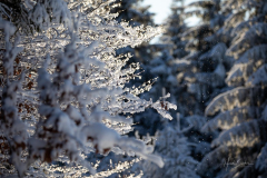 Hoher-Knochen-Winter-38