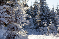 Hoher-Knochen-Winter-39