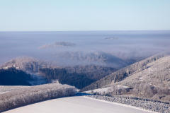 Nebelschleier umhüllen den Hirschberg