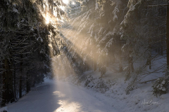Sonnenstrahlen brechen durch den Nebel