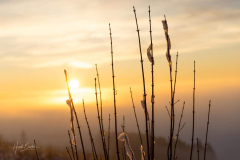 Hoher-Knochen-Winter2023-07