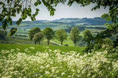 Naturfenster Sauerland