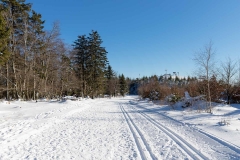 Niedersfelder Hochheide Winter 02