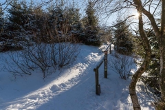 Niedersfelder Hochheide Winter 03