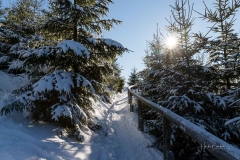 Niedersfelder Hochheide Winter 05