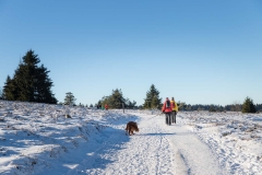 Niedersfelder Hochheide Winter 11