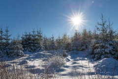 Niedersfelder Hochheide Winter 15