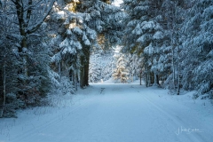 Niedersfelder Hochheide Winter 16