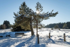 Niedersfelder Hochheide Winter 19