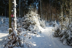 Niedersfelder Hochheide Winter 20