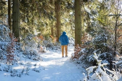 Niedersfelder Hochheide Winter 21