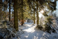 Niedersfelder Hochheide Winter 23