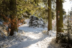 Niedersfelder Hochheide Winter 24