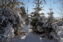 Niedersfelder Hochheide Winter 25