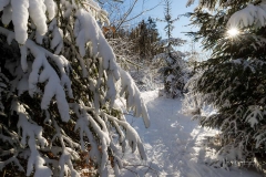 Niedersfelder Hochheide Winter 26