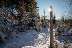 Niedersfelder Hochheide Winter 27