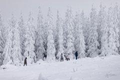Winter-im-Hochsauerland-005