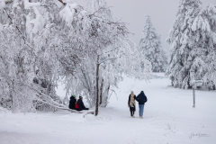 Winter-im-Hochsauerland-007