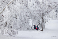 Winter-im-Hochsauerland-008