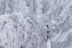 Winter-im-Hochsauerland-009
