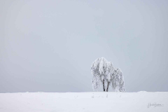 Winter-im-Hochsauerland-010