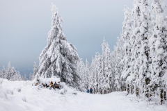 Winter-im-Hochsauerland-011