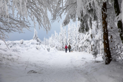 Winter-im-Hochsauerland-012