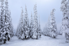 Winter-im-Hochsauerland-015