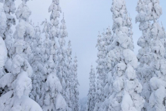 Winter-im-Hochsauerland-016