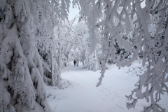 Winter-im-Hochsauerland-017