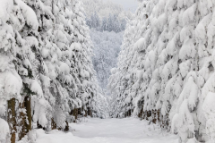 Winter-im-Hochsauerland-019