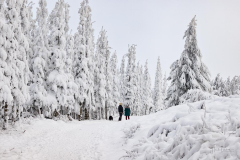 Winter-im-Hochsauerland-021