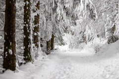 Winter-im-Hochsauerland-023