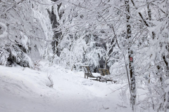 Winter-im-Hochsauerland-024