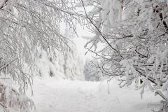 Winter-im-Hochsauerland-025
