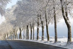 Winter-im-Hochsauerland-026