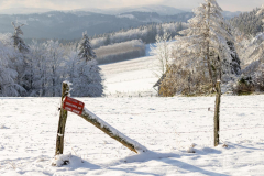 Winter-im-Hochsauerland-027