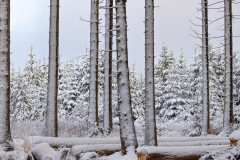 Winter-im-Hochsauerland-028