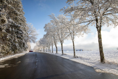 Winter-im-Hochsauerland-030