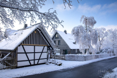 Winter-im-Hochsauerland-031