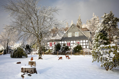 Winter-im-Hochsauerland-036