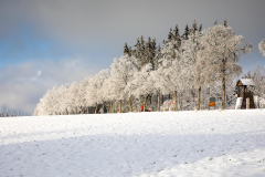 Winter-im-Hochsauerland-037