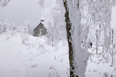 Winter-im-Hochsauerland-041