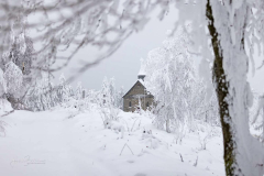 Winter-im-Hochsauerland-042
